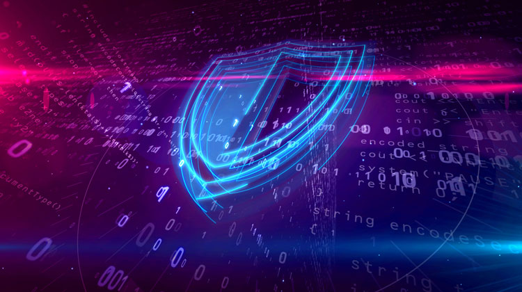 Magento Content Management System | Chosen For Its Resilience And Security. Is WordPress Secure