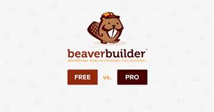 beaver free vs pro