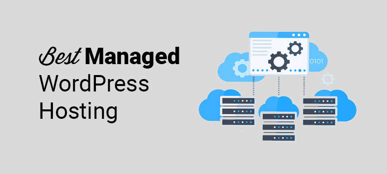 Choosing the Best Managed WordPress Hosting Services for Your Business