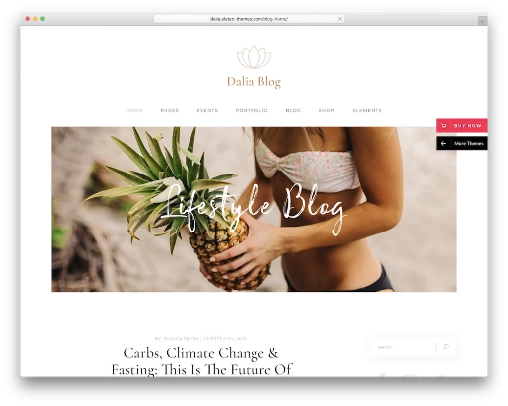 dalia lifestyle wordpress theme.jpg