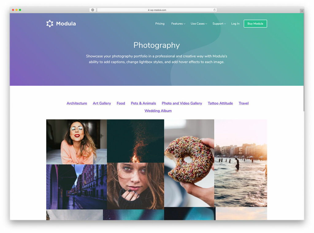 free photography gallery wordpress plugin