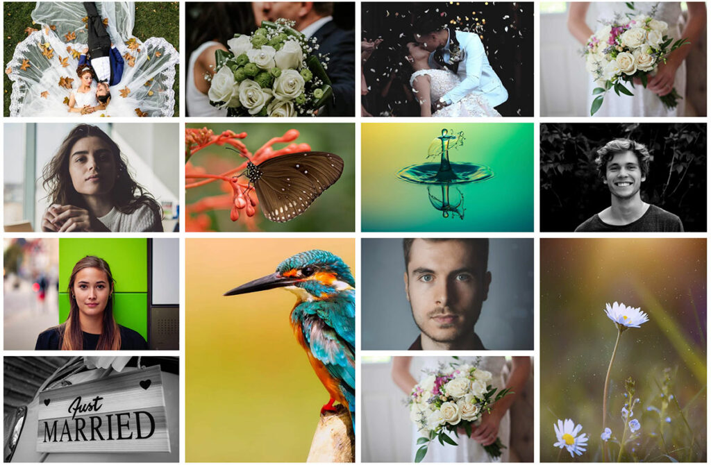 15 Best WordPress Image Gallery Plugins For Photography Websites