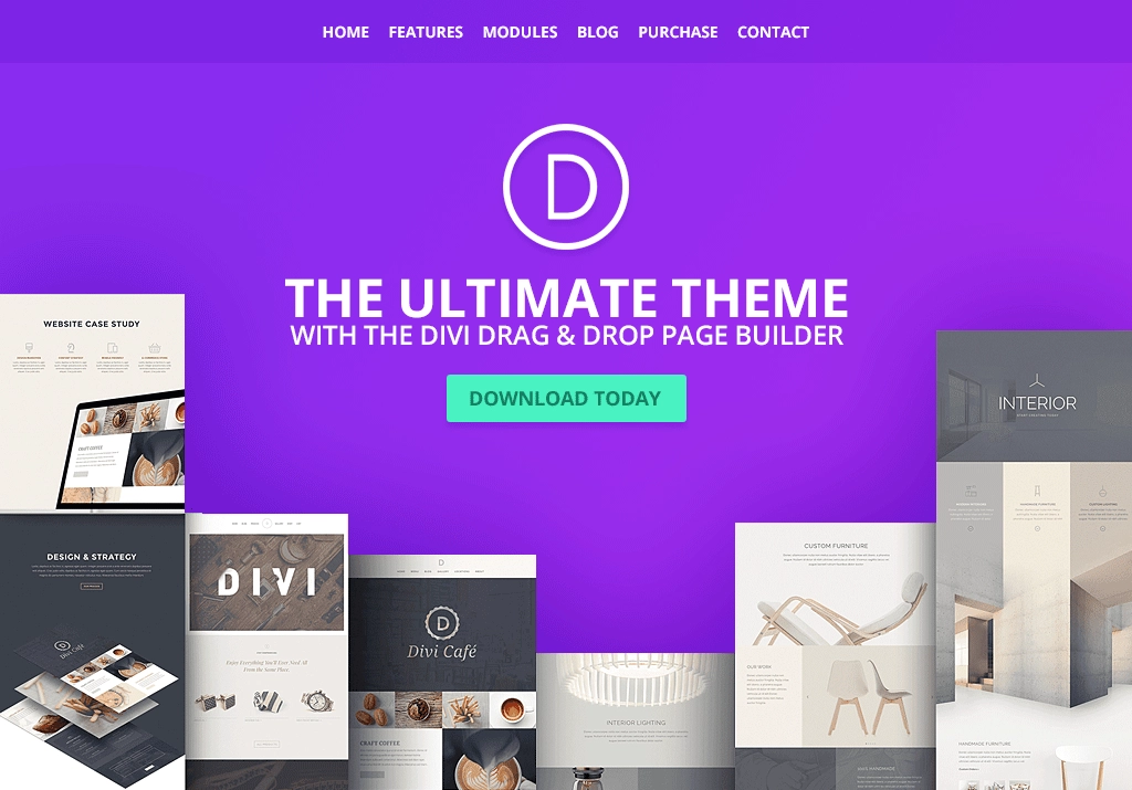 Divi - Best Ecommerce WordPress Themes