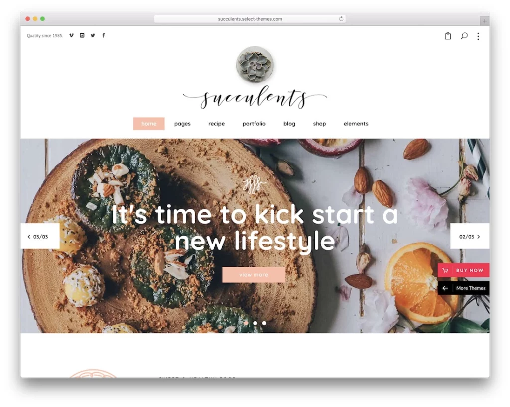 succulents lifestyle wordpress theme.jpg