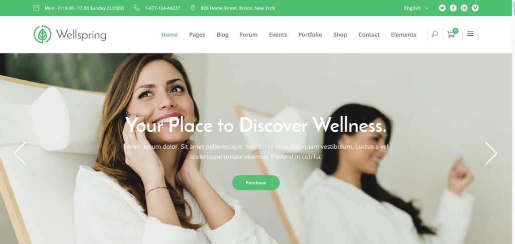 wellspring a health lifestyle wellness theme CL